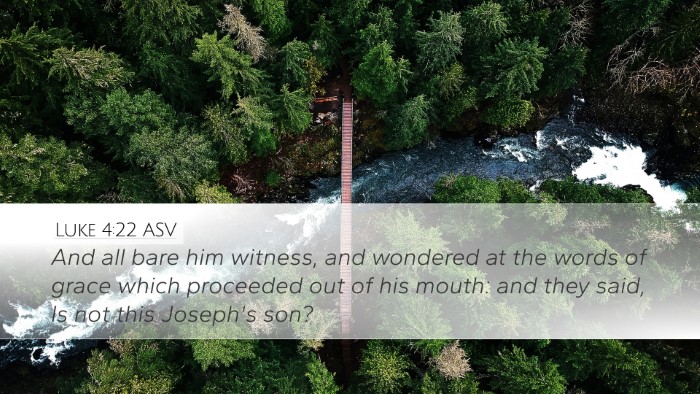 Luke 4:22 ASV Bible Verse Image