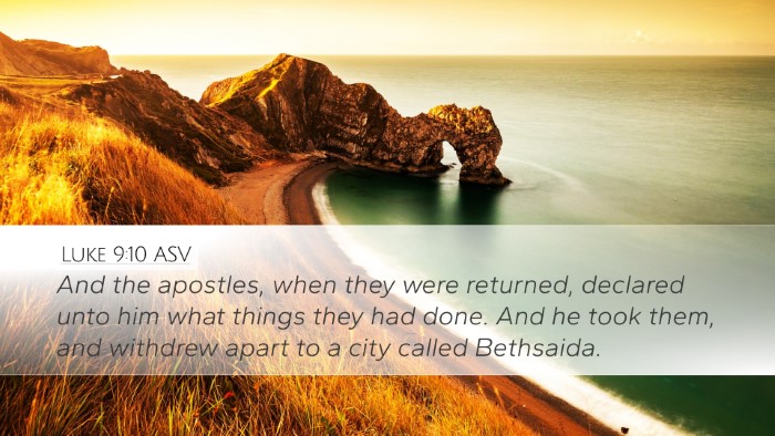 Luke 9:10 ASV Bible Verse Image