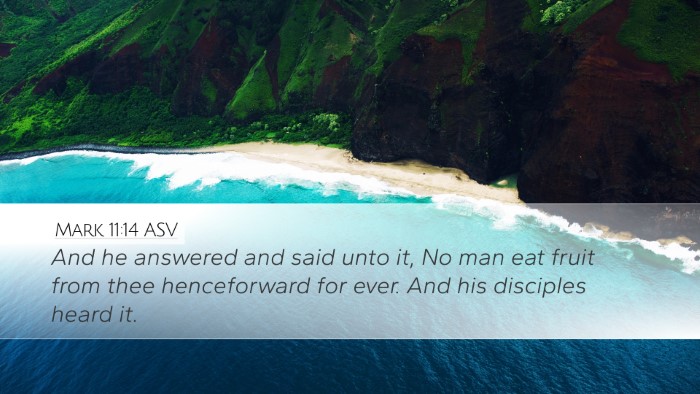 Mark 11:14 ASV Desktop Wallpaper - And he answered and said unto it, No man eat - Desktop Bible Verse Wallpaper