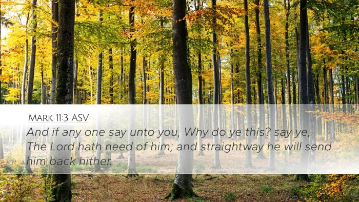 Mark 11:3 ASV Desktop Wallpaper - And if any one say unto you, Why do ye this? say - Desktop Bible Verse Wallpaper