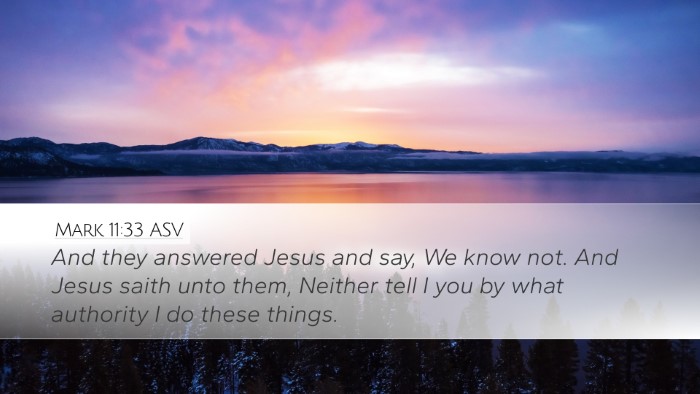 Mark 11:33 ASV Bible Verse Image