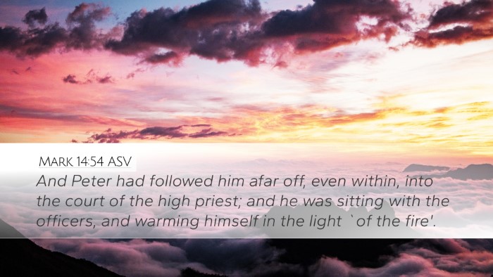 Mark 14:54 ASV Bible Verse Image