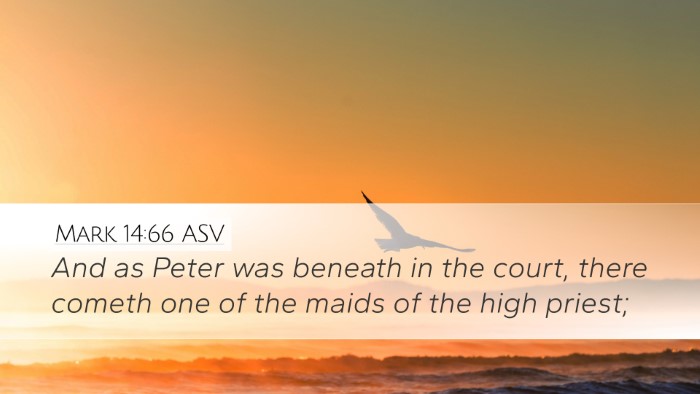 Mark 14:66 ASV Bible Verse Image