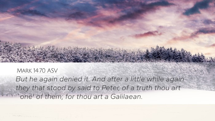 Mark 14:70 ASV Bible Verse Image