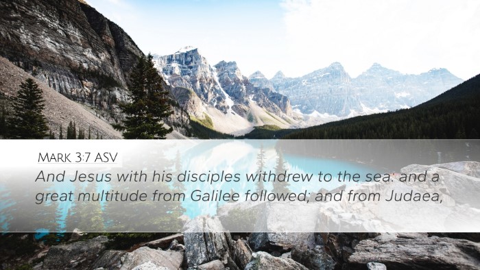 Mark 3:7 ASV Bible Verse Image
