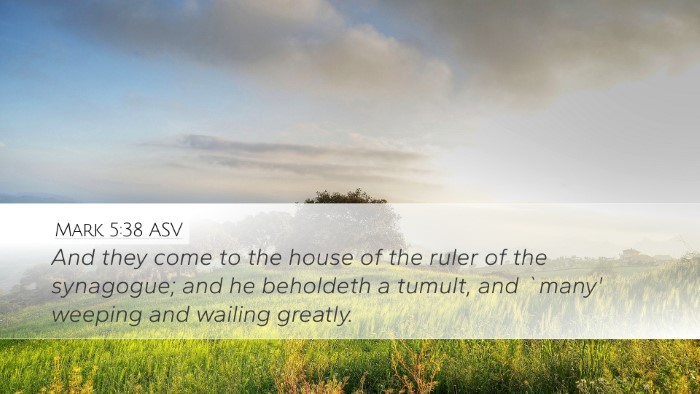 Mark 5:38 ASV Bible Verse Image