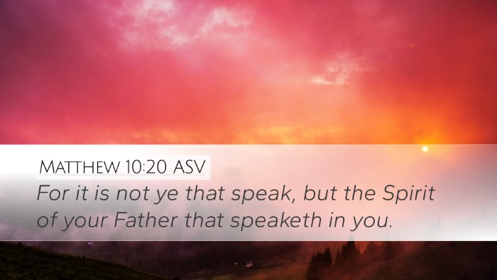 Matthew 10:20 ASV Bible Verse Image