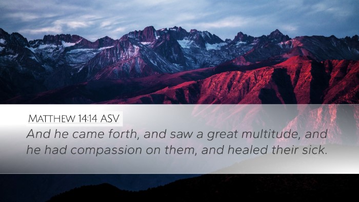 Matthew 14:14 ASV Bible Verse Image