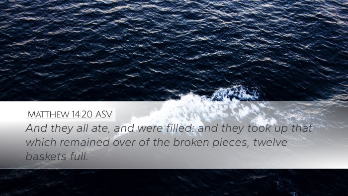 Matthew 14:20 ASV Bible Verse Image