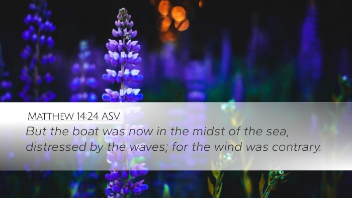 Matthew 14:24 ASV Bible Verse Image