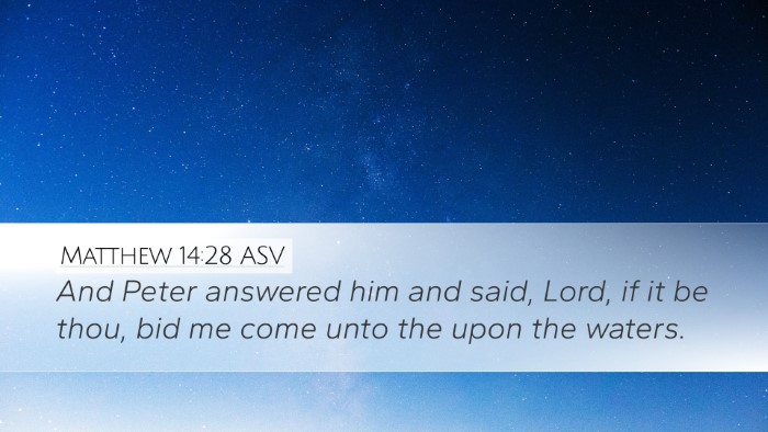 Matthew 14:28 ASV Desktop Wallpaper - And Peter answered him and said, Lord, if it be - Desktop Bible Verse Wallpaper