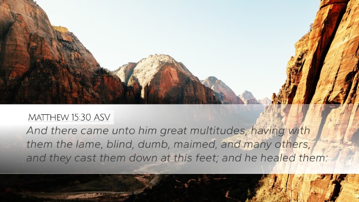 Matthew 15:30 ASV Bible Verse Image