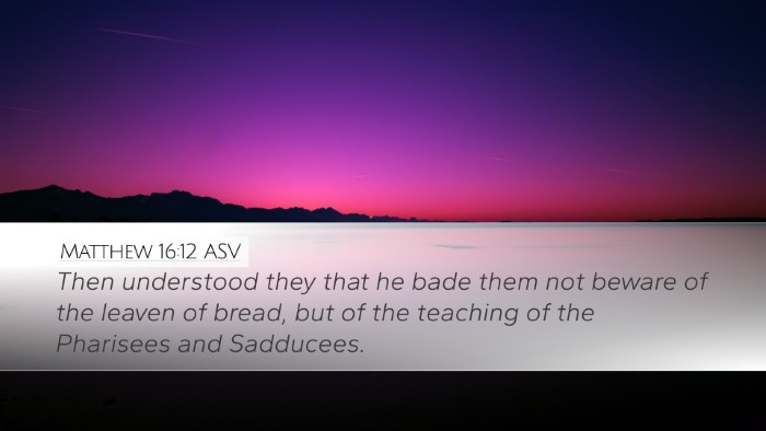Matthew 16:12 ASV Bible Verse Image