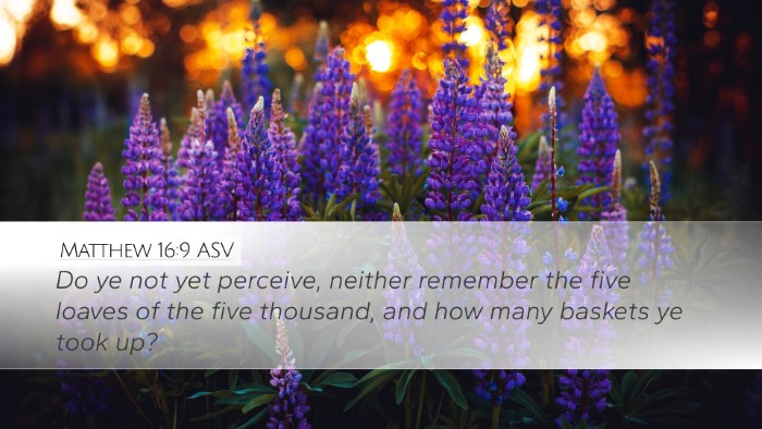 Matthew 16:9 ASV Bible Verse Image