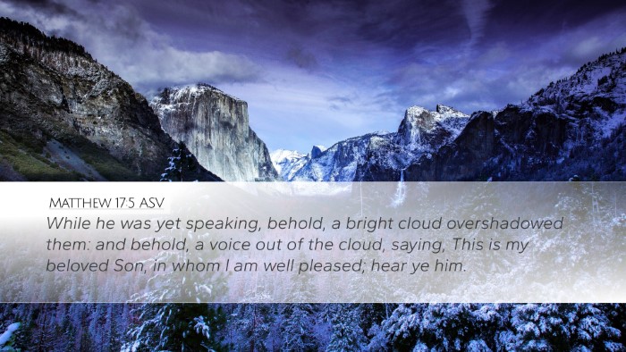 Matthew 17:5 ASV Bible Verse Image