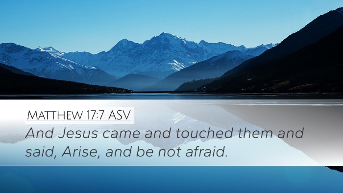 Matthew 17:7 ASV Bible Verse Image