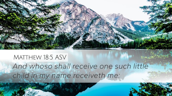 Matthew 18:5 ASV Bible Verse Image