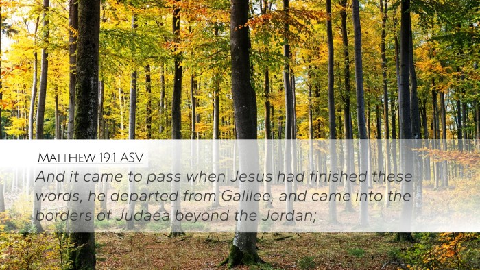 Matthew 19:1 ASV Bible Verse Image