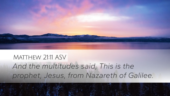Matthew 21:11 ASV Bible Verse Image
