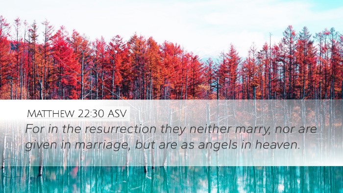 Matthew 22:30 ASV Bible Verse Image