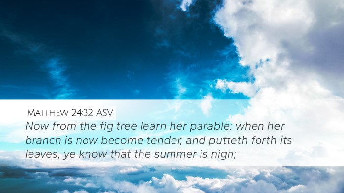 Matthew 24:32 ASV Bible Verse Image