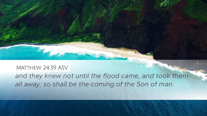 Matthew 24:39 ASV Bible Verse Image
