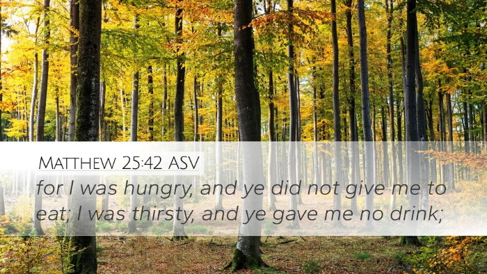 Matthew 25:42 ASV Bible Verse Image