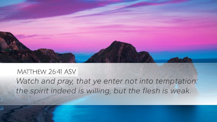 Matthew 26:41 ASV Bible Verse Image