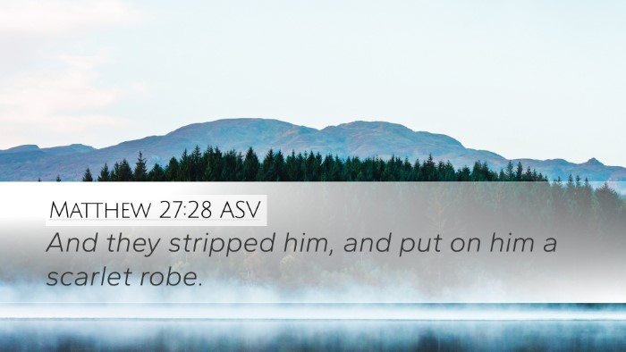 Matthew 27:28 ASV Bible Verse Image