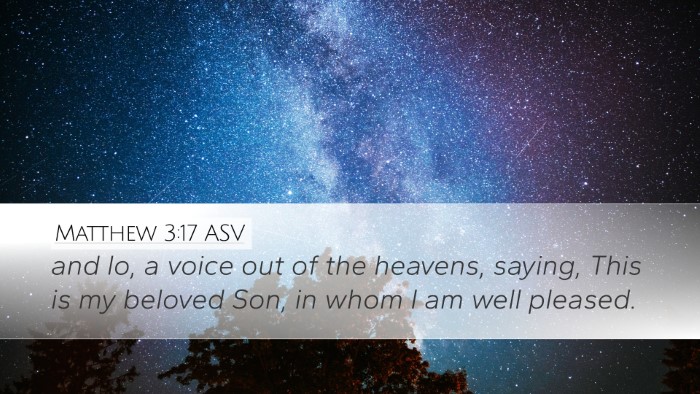 Matthew 3:17 ASV Bible Verse Image