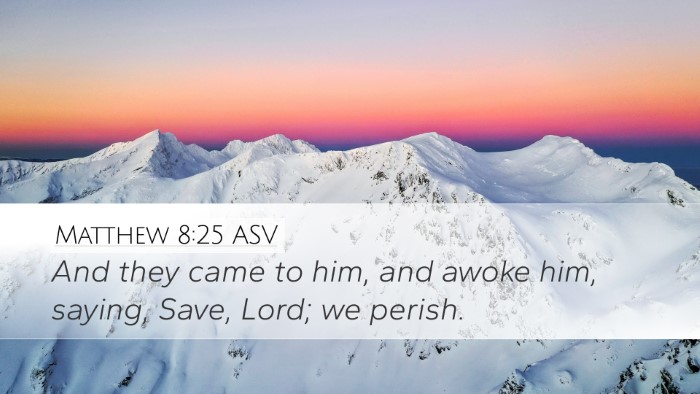 Matthew 8:25 ASV Desktop Wallpaper - And they came to him, and awoke him, saying, - Desktop Bible Verse Wallpaper
