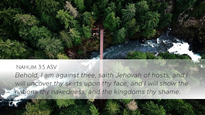 Nahum 3:5 ASV Bible Verse Image