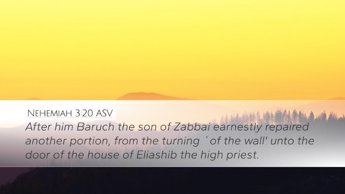 Nehemiah 3:20 ASV Bible Verse Image