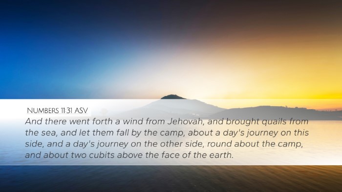 Numbers 11:31 ASV Bible Verse Image
