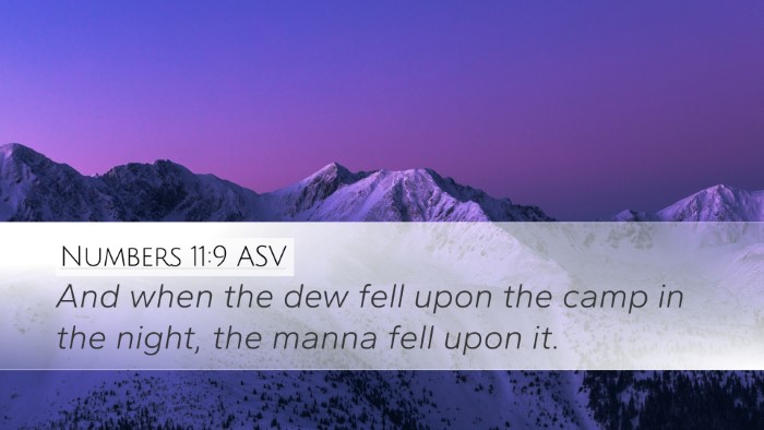 Numbers 11:9 ASV Desktop Wallpaper - And when the dew fell upon the camp in the night, - Desktop Bible Verse Wallpaper