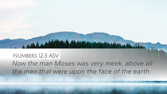 Numbers 12:3 ASV Bible Verse Image