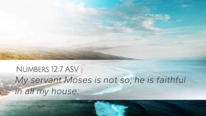 Numbers 12:7 ASV Bible Verse Image