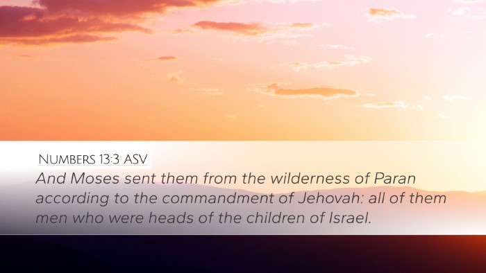 Numbers 13:3 ASV Bible Verse Image