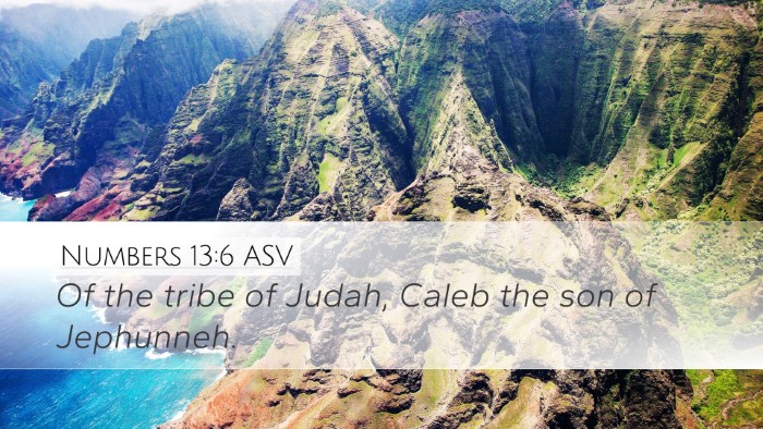 Numbers 13:6 ASV Bible Verse Image