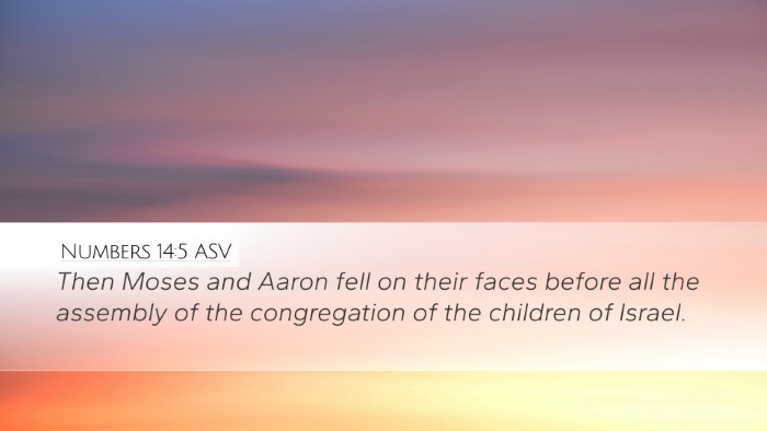Numbers 14:5 ASV Bible Verse Image
