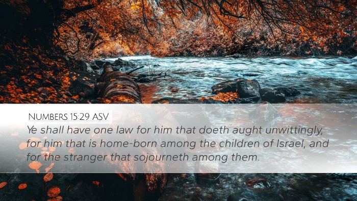 Numbers 15:29 ASV Bible Verse Image