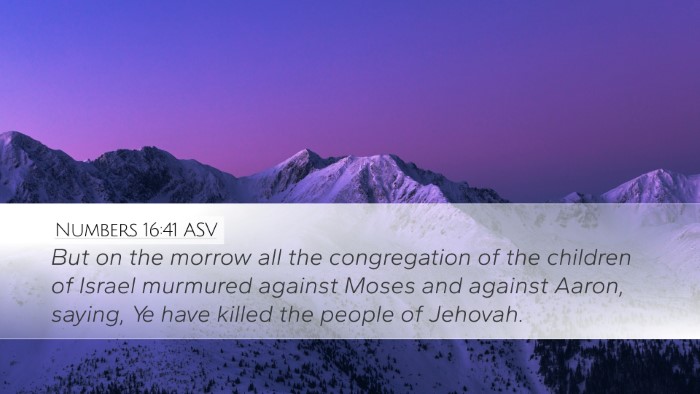 Numbers 16:41 ASV Bible Verse Image