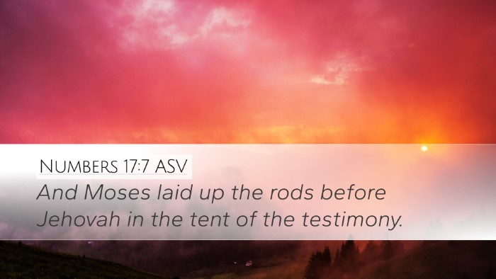Numbers 17:7 ASV Bible Verse Image