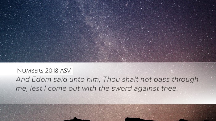 Numbers 20:18 ASV Bible Verse Image