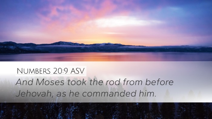 Numbers 20:9 ASV Desktop Wallpaper - And Moses took the rod from before Jehovah, as he - Desktop Bible Verse Wallpaper