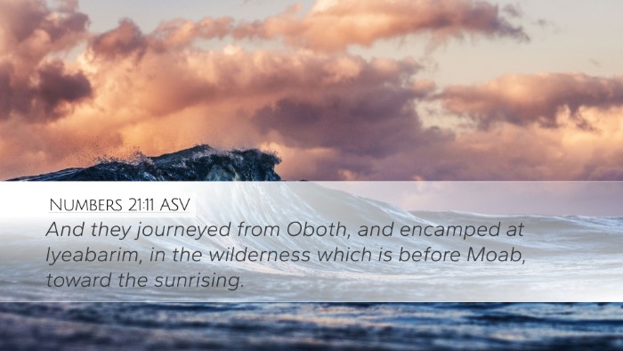 Numbers 21:11 ASV Desktop Wallpaper - And they journeyed from Oboth, and encamped at - Desktop Bible Verse Wallpaper