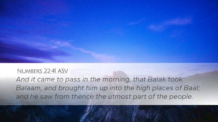 Numbers 22:41 ASV Bible Verse Image