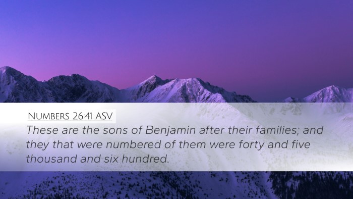 Numbers 26:41 ASV Bible Verse Image