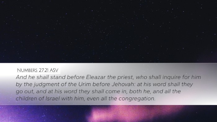 Numbers 27:21 ASV Bible Verse Image