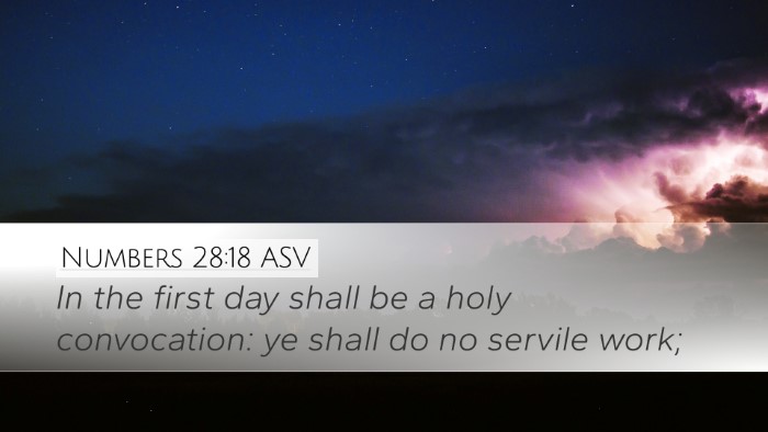 Numbers 28:18 ASV Bible Verse Image